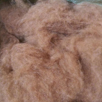 精梳驼绒纺纱专用 优质驼绒原料出售 精梳驼绒原料厂家直销|ms