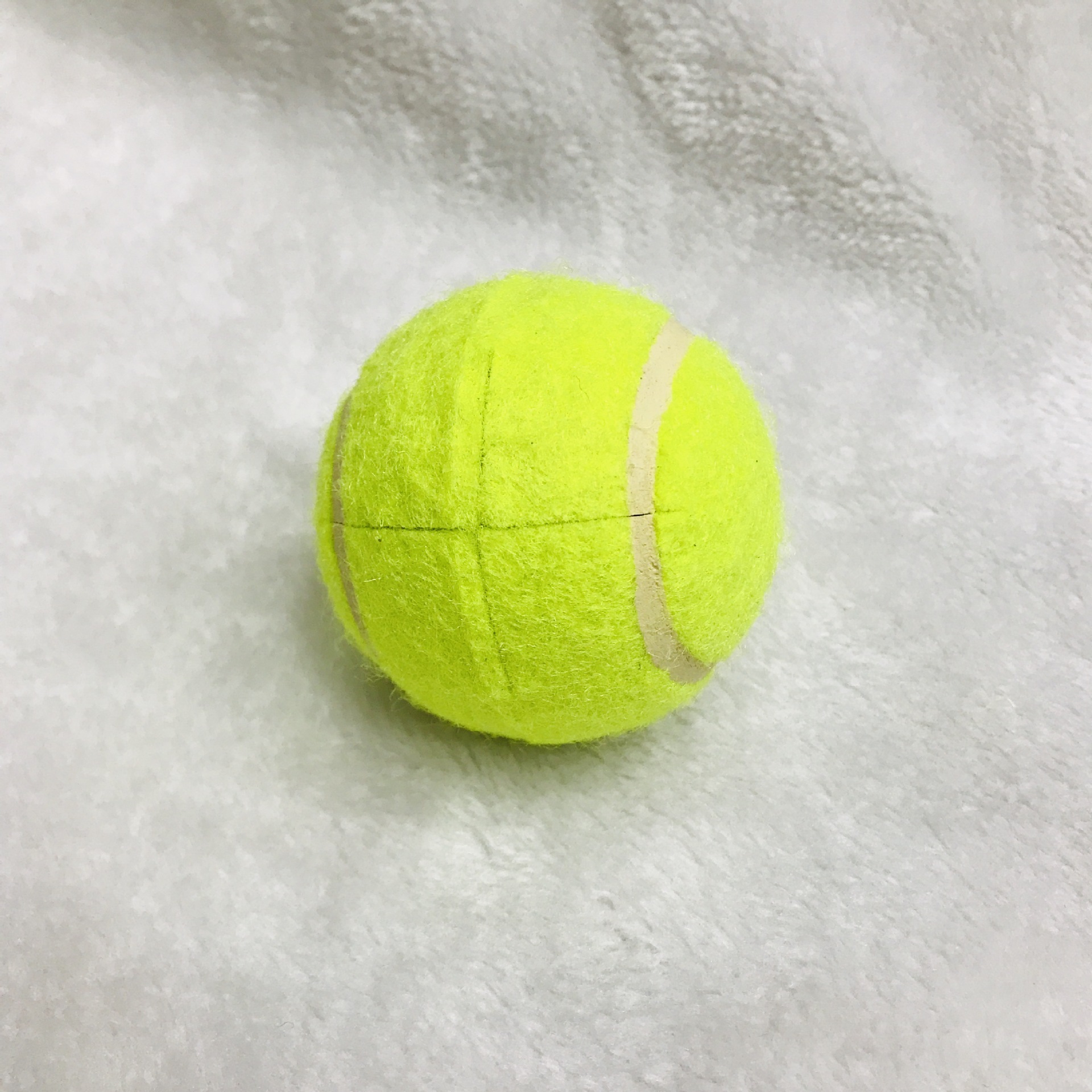 IMG_7447(20190429-143343)