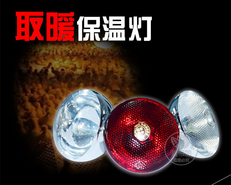 保温灯CB详情页 (1).jpg