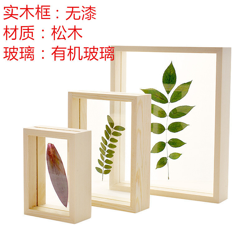 11196441469_1568986212