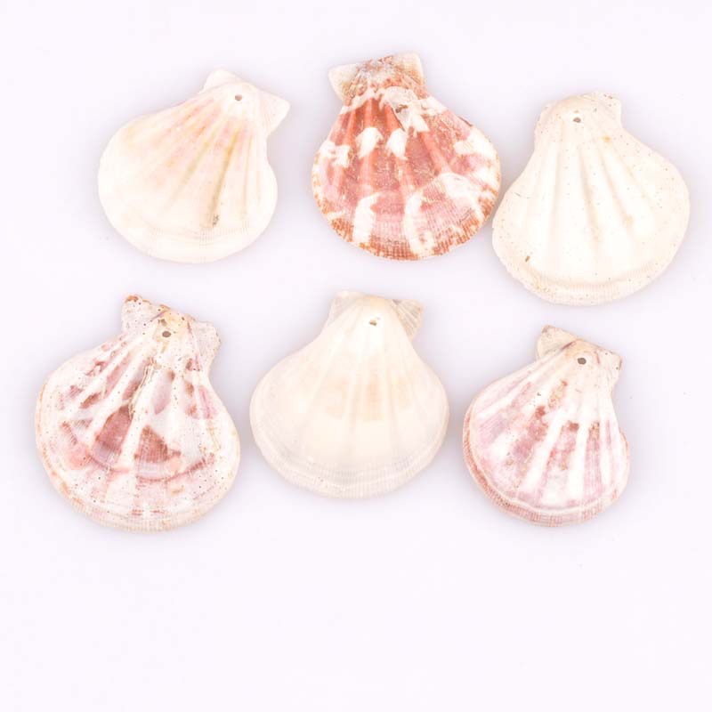 HTB1SmaQbBjTBKNjSZFNq6ysFXXa8