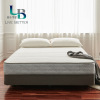 Liv Bet the republic of korea Original import latex mattress Spring Simmons mattress Double mattress coconut fiber mattress E2