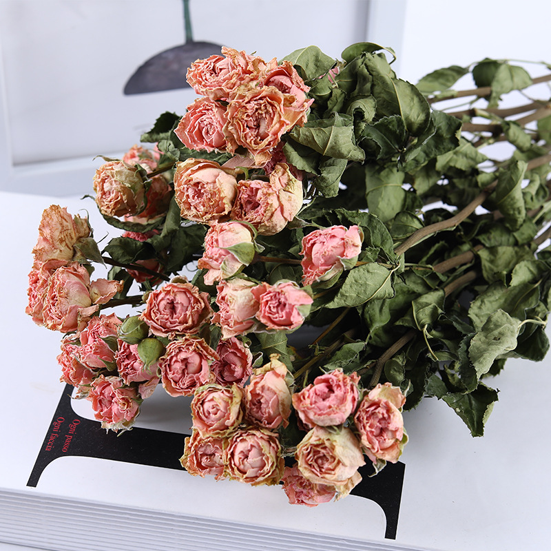 干花蔷薇多头小玫瑰斗南鲜花基地批发diy滴胶花材家居装饰真花束 阿里巴巴