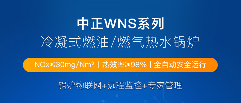 WNS熱水
