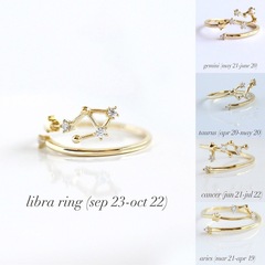 New Arrival European & American Style Open-Ended 12 Zodiac Sign Rings for Women—Factory-Sourced Jewelry for Sale
