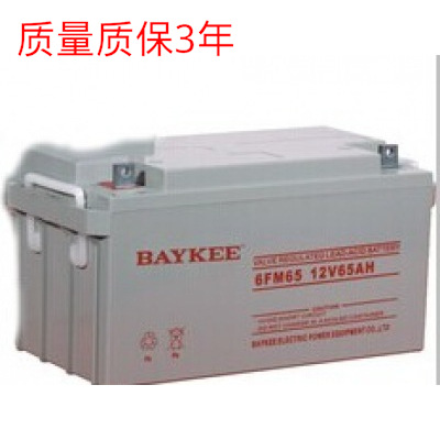 柏克BAYKEE铅酸蓄电池12v65ah 柏克免维护蓄电池6GFM65直流屏包邮