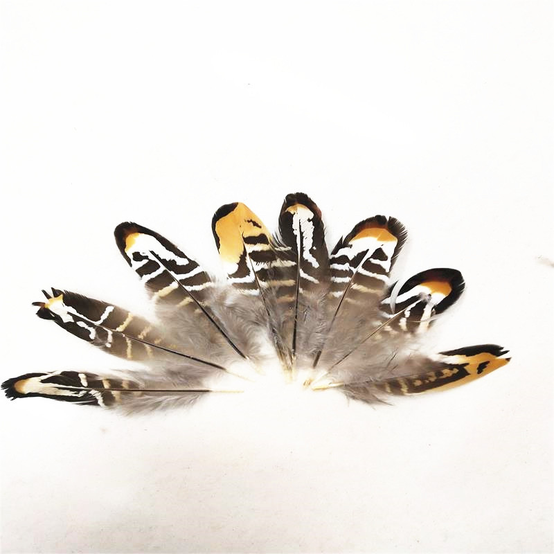 QQ图片20190411142322_副本