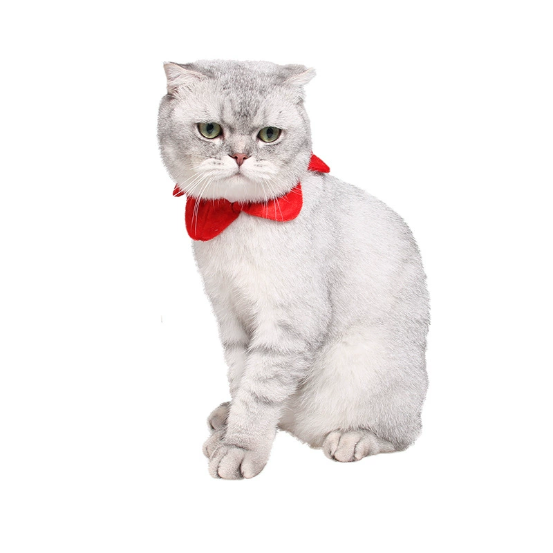 Рождественский красный пятизвездочный ошейник детский праздничный Ювелирный шарф Элизабет защитное кольцо заводской ошейник для собак и кошек