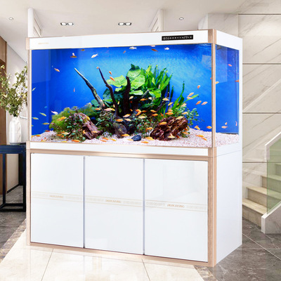 闽江水族箱玻璃客厅小型生态免换水智能长方形办公室底滤大龙鱼缸