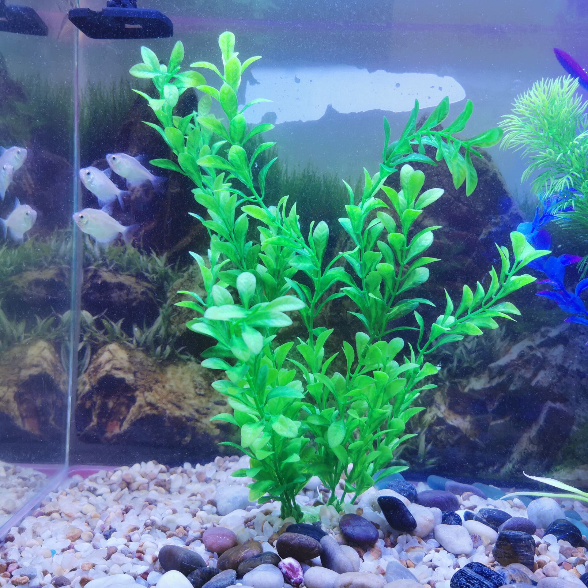 QQ图片20190725105956