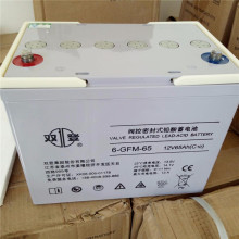 ����ֱ��˫������6-GFM-80���12v80AH