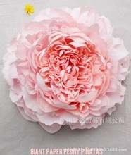 cֹ LMb 廨ˇˮ·