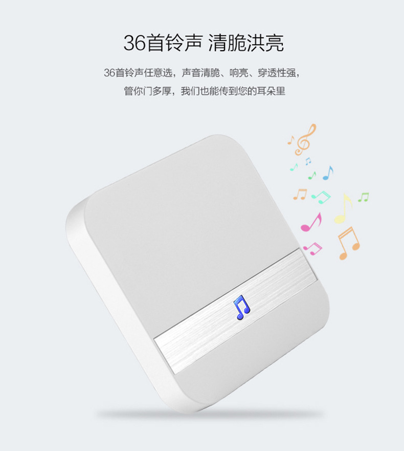 9543090885_1712167178