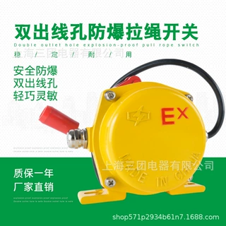 ExKLT2手动防爆双向拉绳开关 BKLT2-2型双出线孔防爆平衡拉线开关