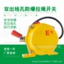 平衡手动防爆双向开关