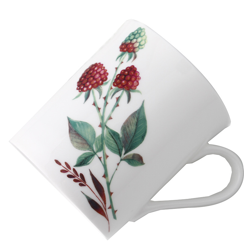 骨瓷茶具套装 夏季家用冷水壶小清新陶瓷茶水杯喝水杯子