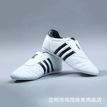 儿童男武术鞋运动鞋子新款脚软底夏季透气网布道鞋跆拳道鞋子