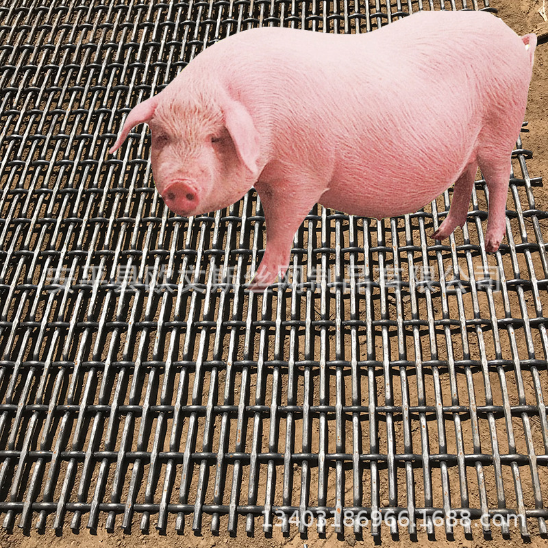 厂家定做批发育肥猪床网 钢铁丝漏粪网 猪羊床漏粪网狗笼子漏粪板