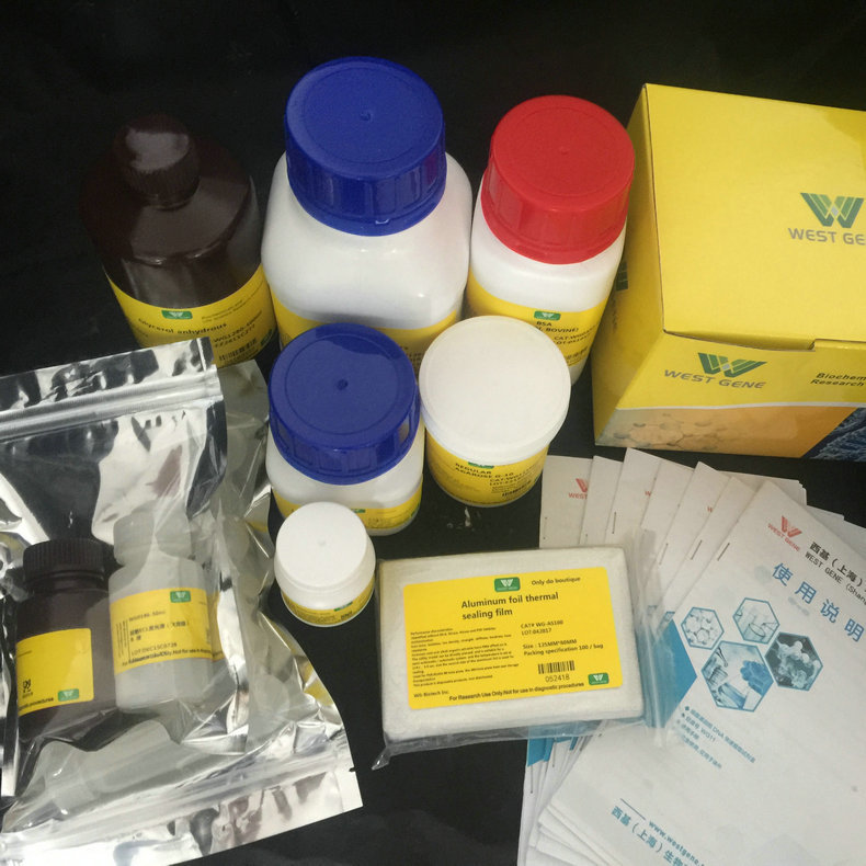 HRCZ-03N2800 氨基磁珠 蛋白细胞分类核酸检测免疫测定