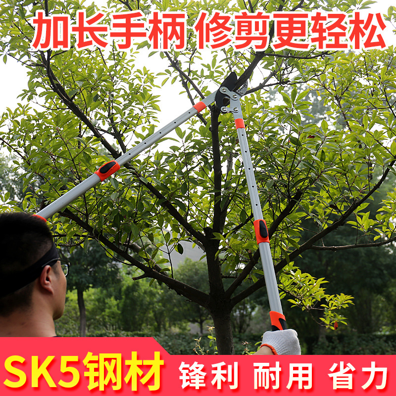 Fábrica al por mayor tijeras fuertes retráctiles tijeras de rama gruesa tijeras de jardín de árboles frutales tijeras de podar que ahorran mano de obra tijeras de rama alta tijeras de rama gruesa