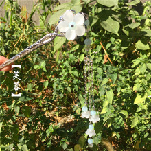 �ճ��ٴ�ɹ��LŮ�h����������K�Ͻ�l���Ӳ���ɫ���b�^�