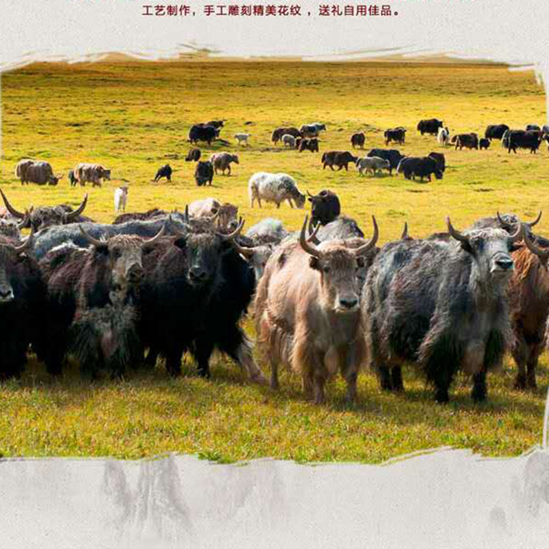 微信图片_20190506134627