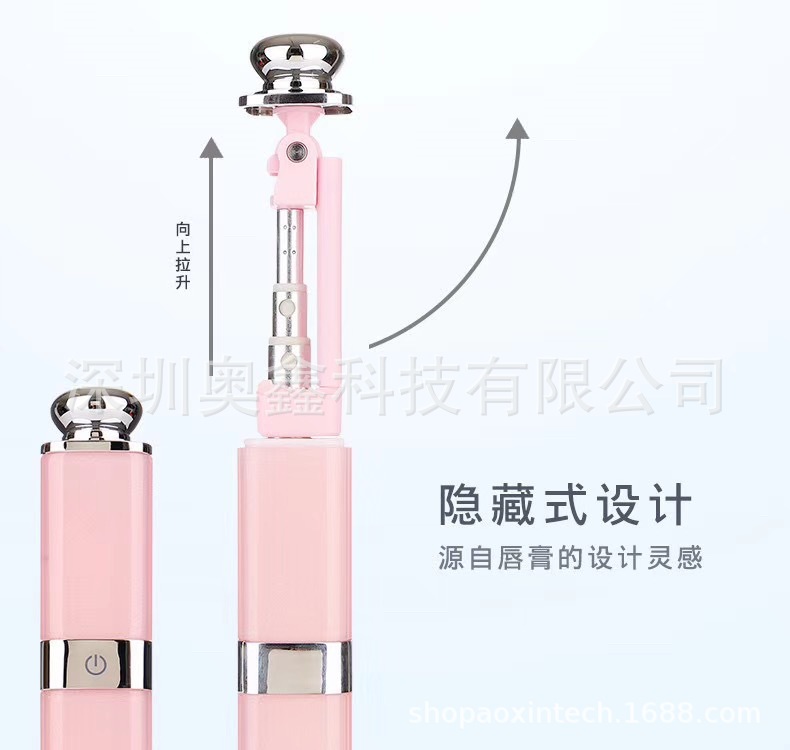 Perche selfie en Acier inoxydable - Ref 3387014 Image 5