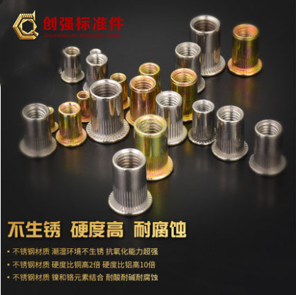 厂家直销不锈钢拉铆螺母拉帽 平头拉铆螺母 沉头铆螺母家具铆螺母