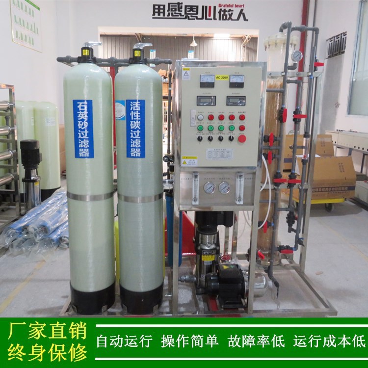 江苏常州超纯水设备 250L/H去离子水处理设备 电阻率10兆欧