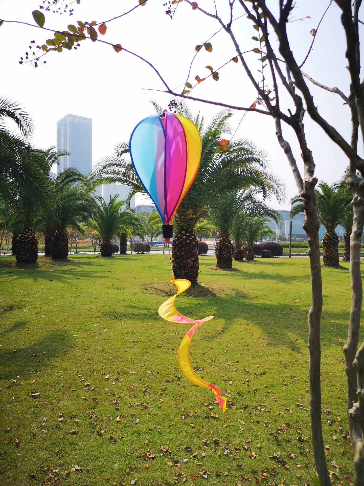 QQ图片20191105114917