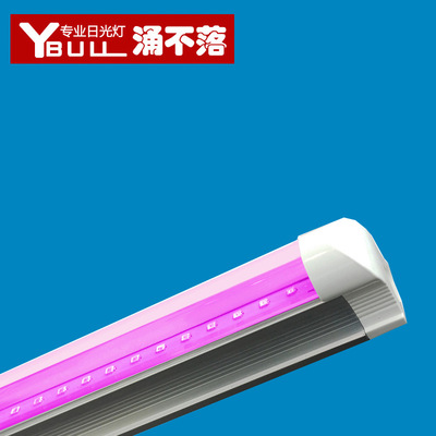 T8LED植物廣照燈壹體化植物工廠葉菜補光燈育苗燈鮮花盆栽 批發