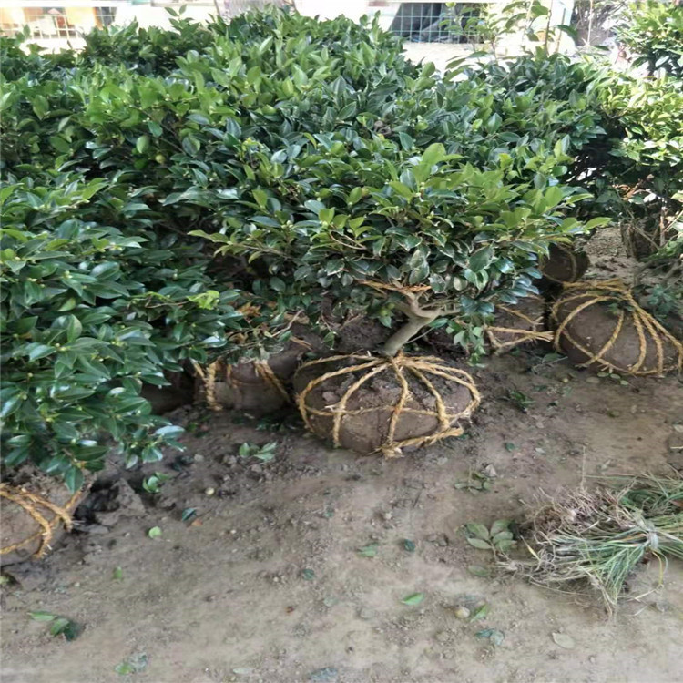 微信图片_20190924001002