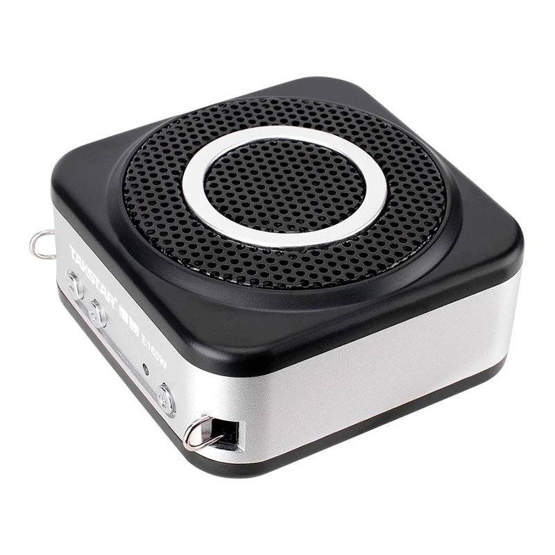 TAKSTAR/Victory E160W портативная беспроводная колонка AUX мультимедийное воспроизведение обучение руководство