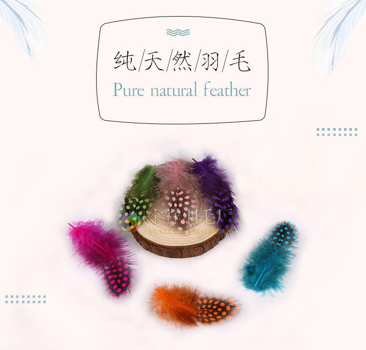 Yuxiang pearl feather_01