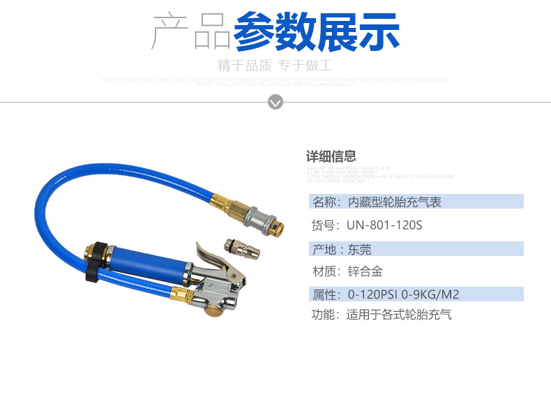Handheld Inflatable Tire Pressure Gauge with Accessories