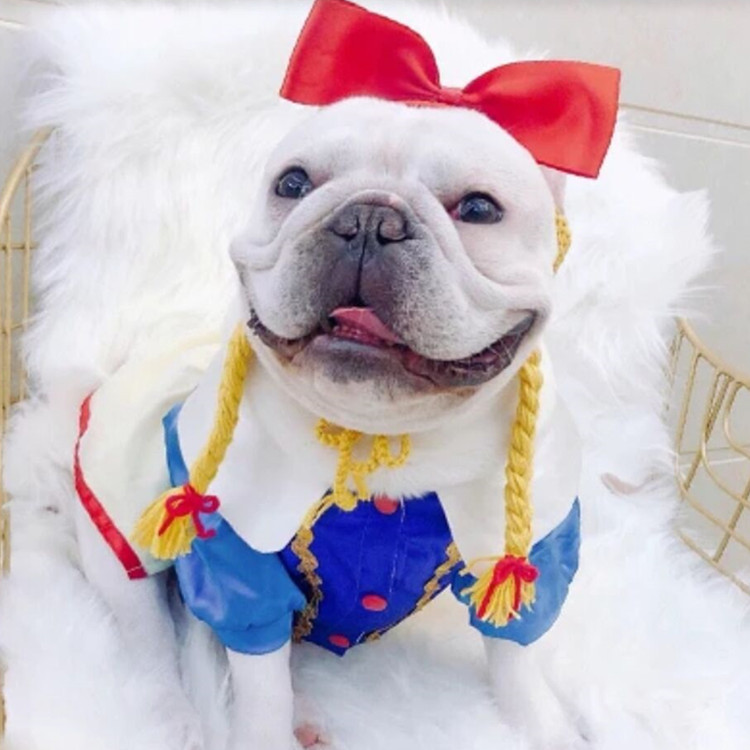 QQ图片20191016200115_副本