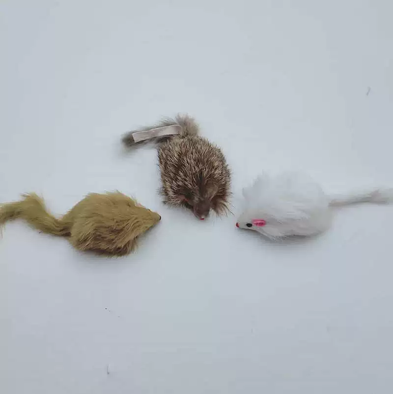 Реалистичная игрушка, кошка, новый ассортимент, питомец, может укусить