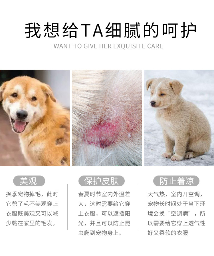 宠物毛裙模板_02.jpg