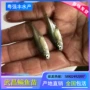 武昌大量养殖鳊鱼三角鲂