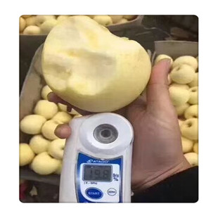 ��ɫ�O���� �����O���� �������Sɫ ���S�O���� ����ɿ�
