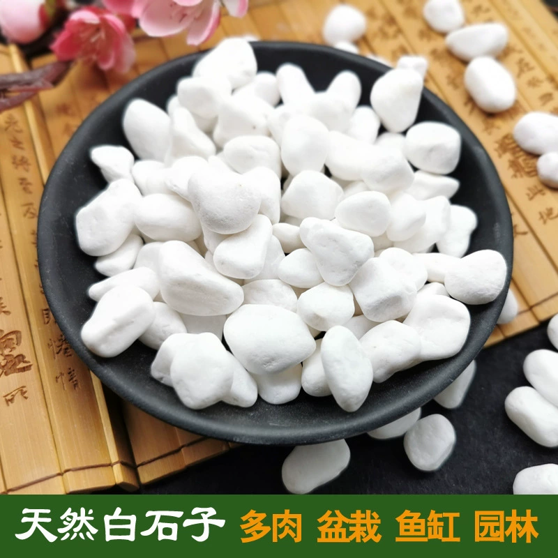✅Natural white stone pebbles white stone white marble colored stone gardening potted stone succulent paving courtyard construction