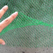 �Gɫ��·�o��ֲ���o��ֲ�݈@�־G�����Sֲ���W��ƺ���ط��m���w��