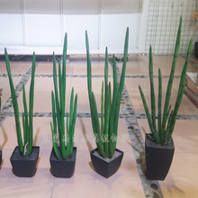 �ļ��L�� ����ֲ���L��� PU���|�ɏ����N�Π� �Gֲ�����Ɣ[��