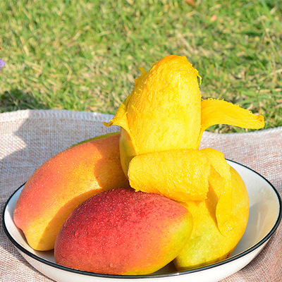 产地货源新鲜现摘海南贵妃芒5斤9斤 红金龙芒果当季水果代发包邮