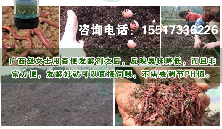 粪便发酵剂发酵牛粪养蚯蚓效果好