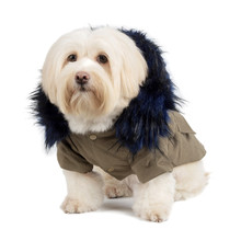 宠物衣服超大毛领军装款大衣两脚带扣外套夹棉保暖狗衣服工厂直销