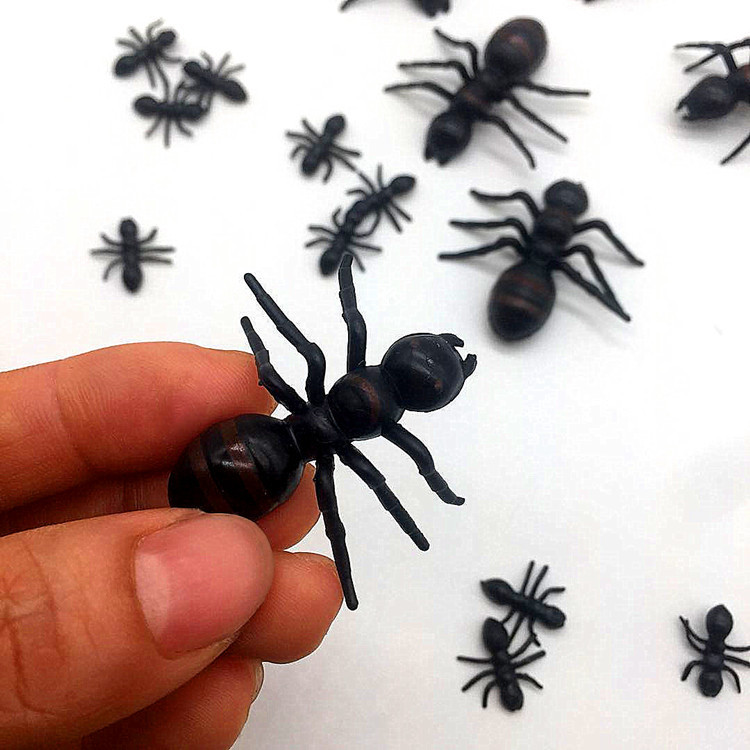 faf903350651d379d297d91b39f70c