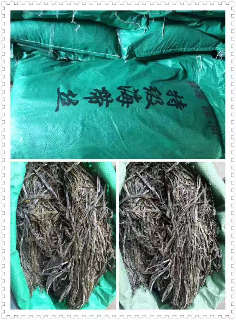 供应批发福建干海带丝长丝和短丝 回泡率高颜色好
