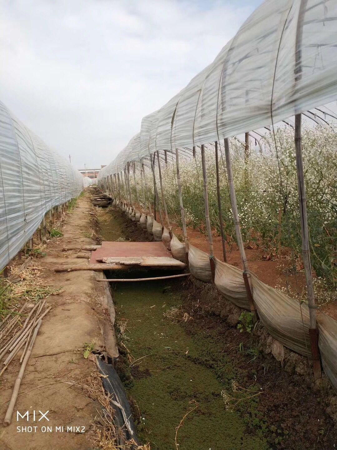 QQ图片20190626225052