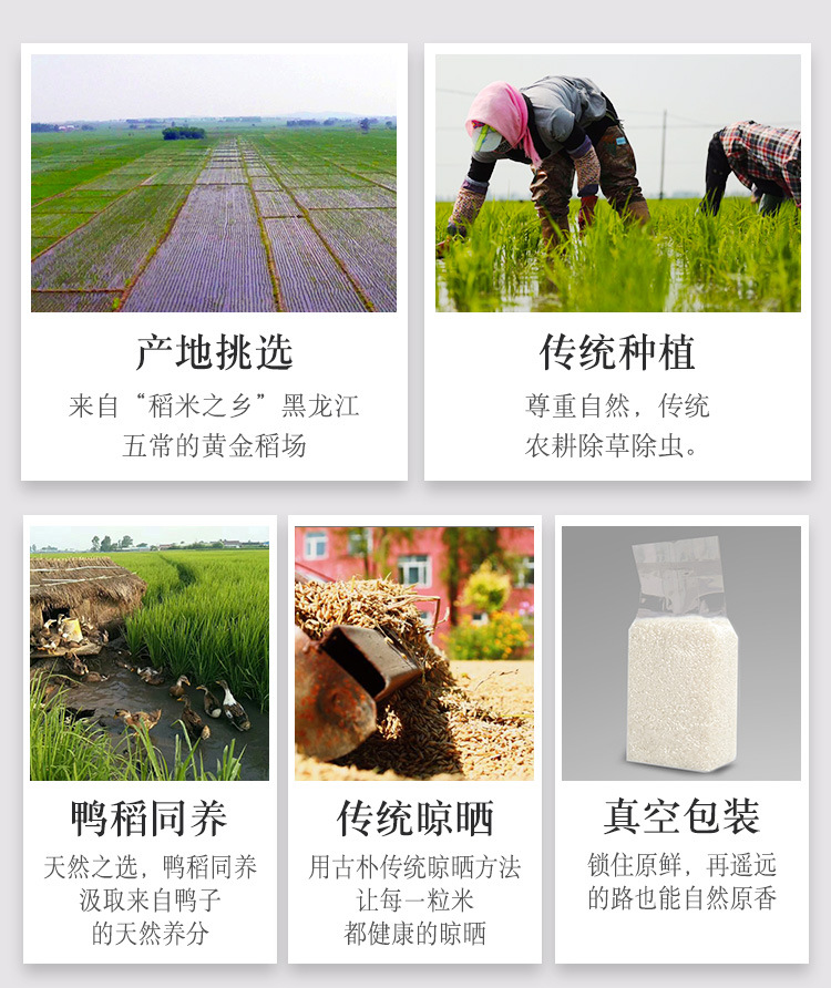 淳夫稻大米袋装2.5详情 (16).jpg